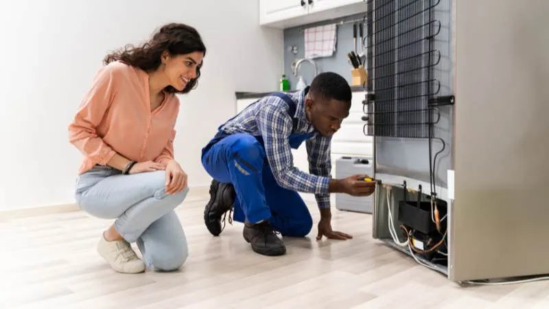 Fridge Repair