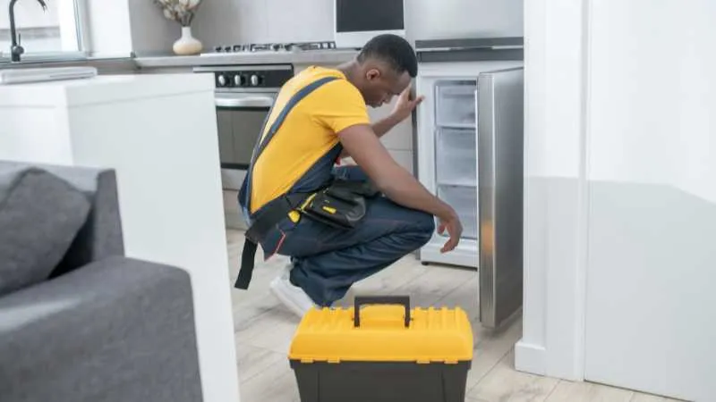 Fridge Repair